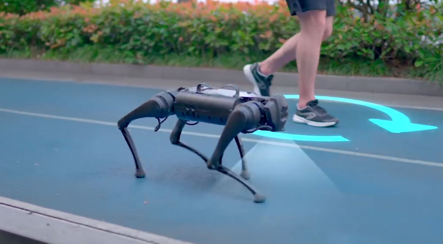 Chinese robot dog follows owner and carries small groceries
